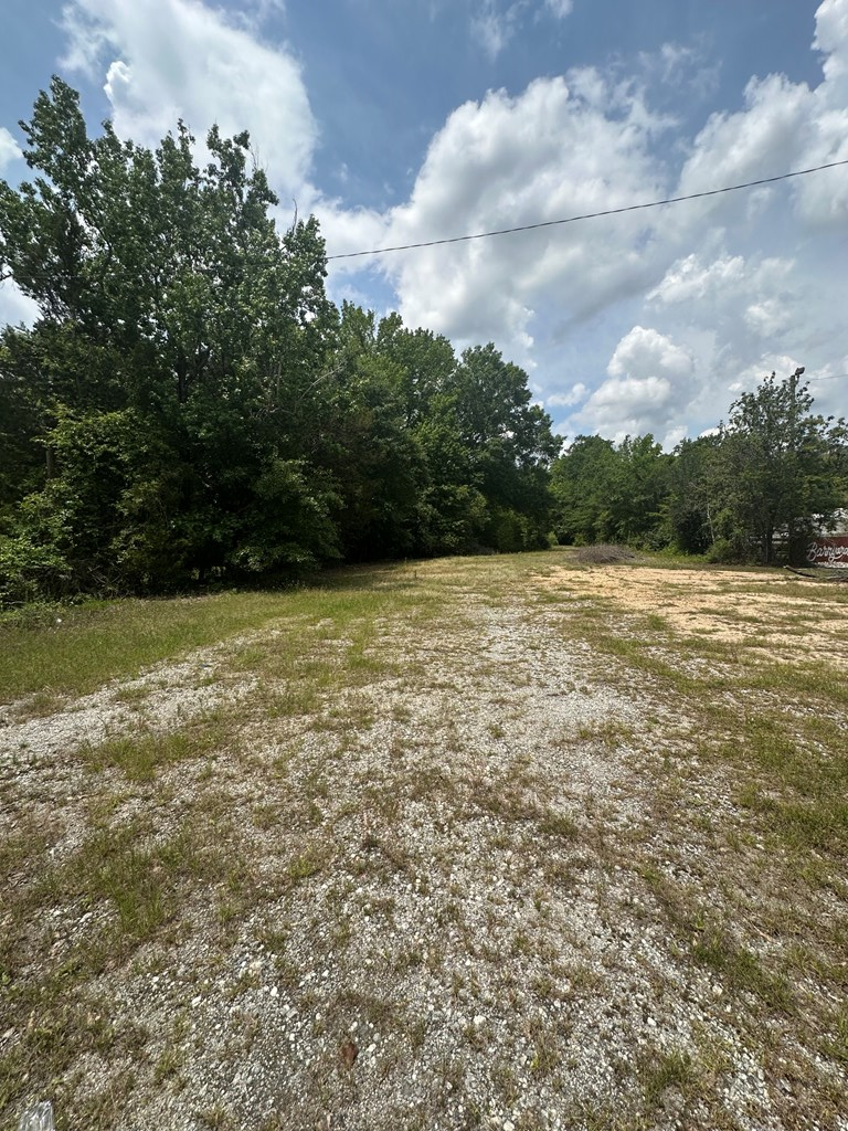 0 Opelika Road Phenix City, AL 36867 - Photo 2 of 4 a view of a lake view
