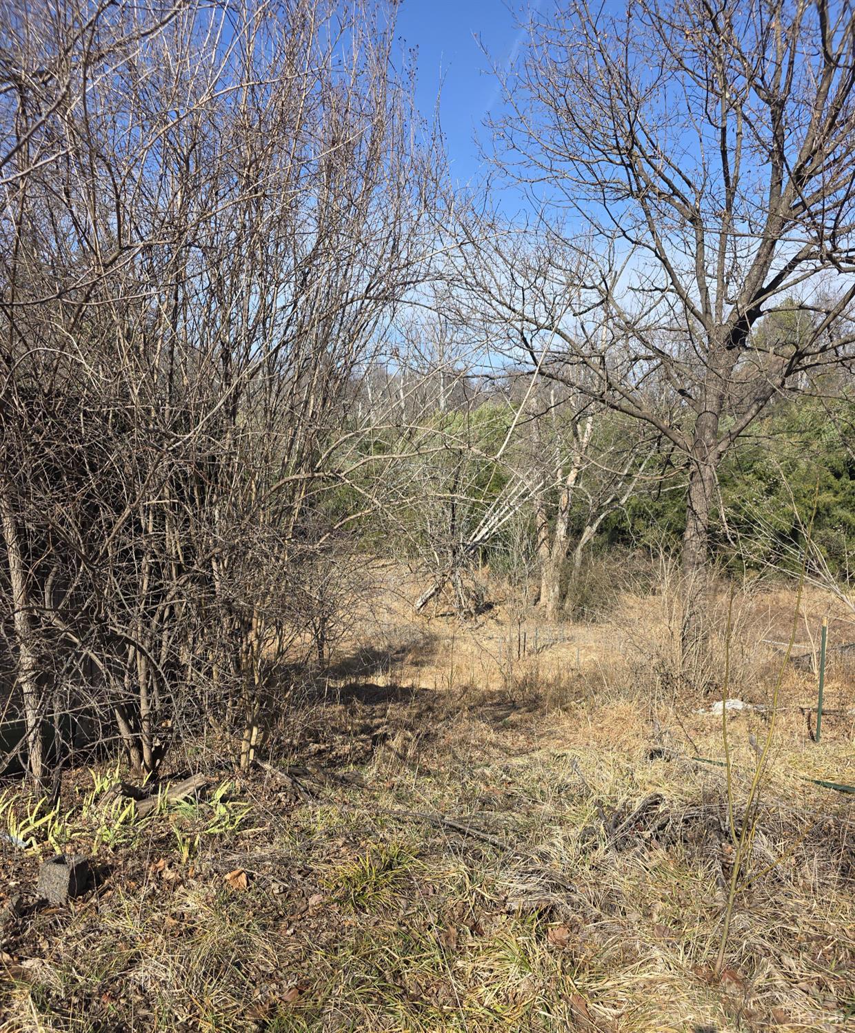 a view of mountain covered with snow