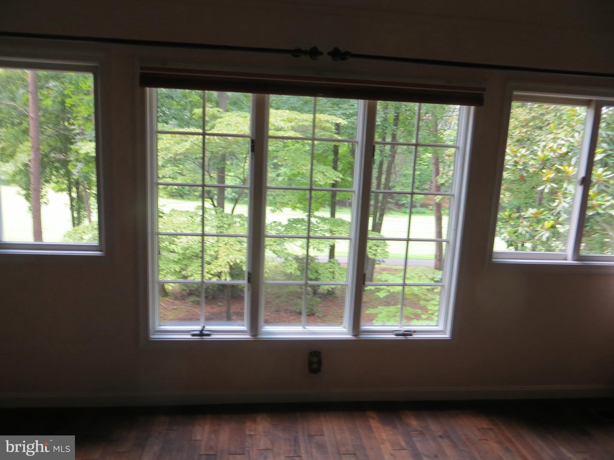 212 Pine Valley Road Locust Grove, VA 22508 - Photo 23 of 24 Window Wall overlooking trees & golf
