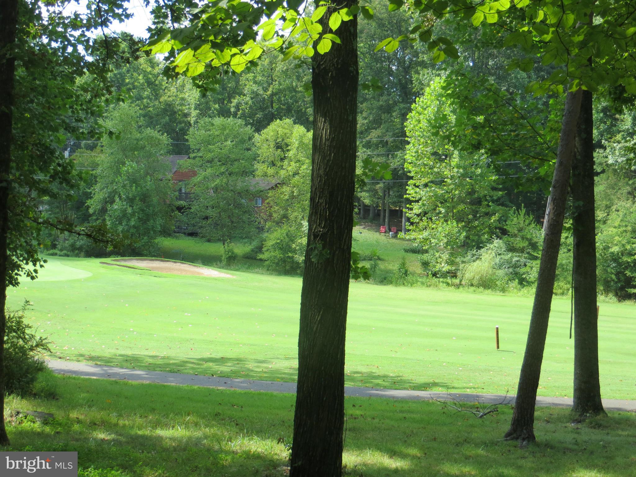 212 Pine Valley Road Locust Grove, VA 22508 - Photo 3 of 24 View #4 Golf Course Green
