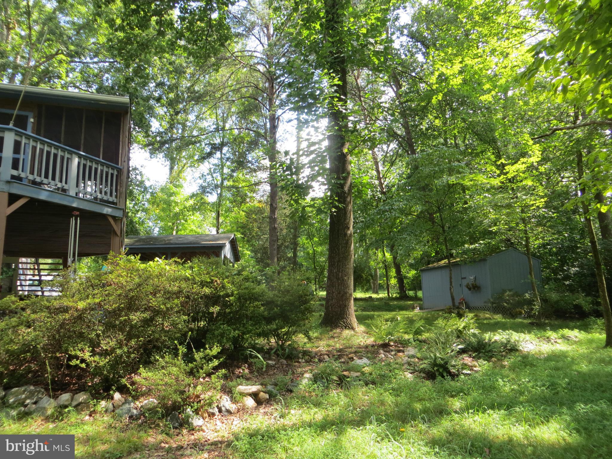 212 Pine Valley Road Locust Grove, VA 22508 - Photo 6 of 24 View of side Yark