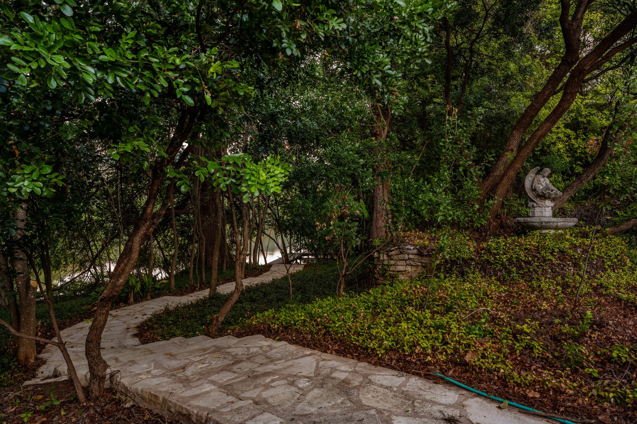 1700 Lakeshore Drive Austin, TX 78746 - Photo 5 of 26 lush privacy