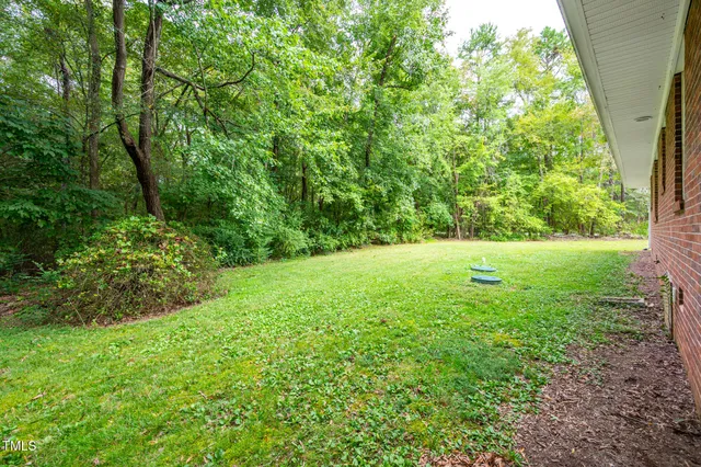 a view of a garden with a tree