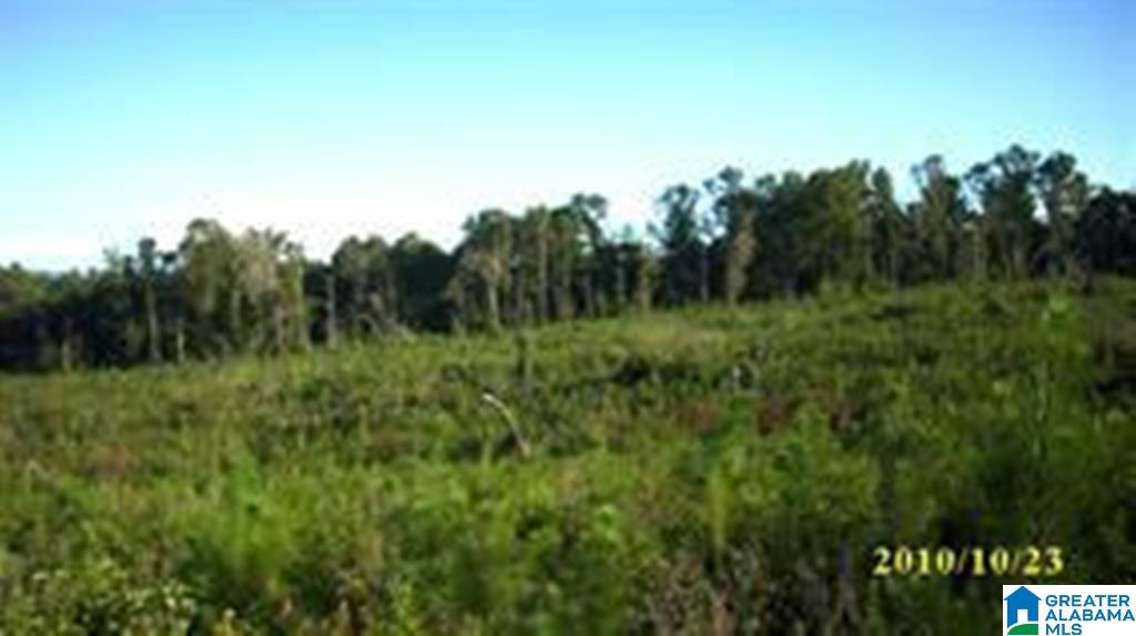 Eureka Road, Unit 1 Lincoln, AL 35096 - Photo 21 of 34