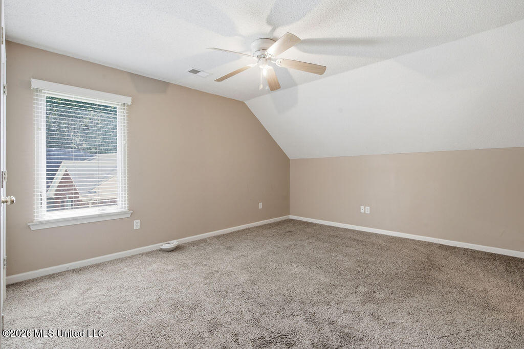 10739 Ridgefield Drive Olive Branch, MS 38654 - Photo 17 of 24 DSC09475