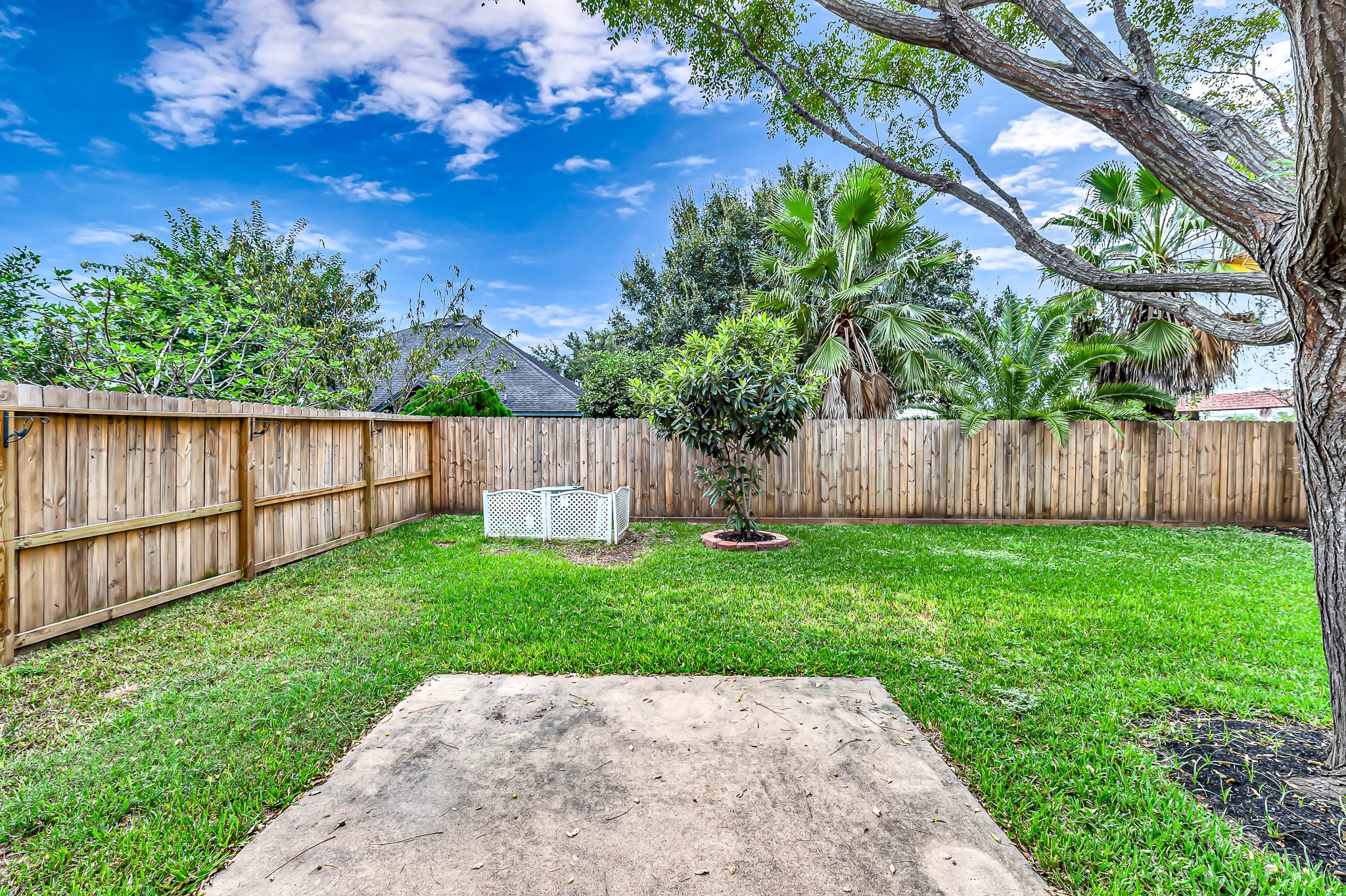1602 Rustic Hollow Lane Katy, TX 77450 - Photo 30 of 48 Enjoy your privacy in your new backyard with trees and green.