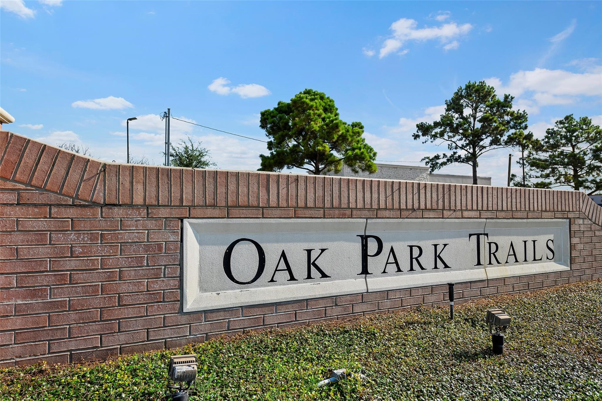 1602 Rustic Hollow Lane Katy, TX 77450 - Photo 34 of 48