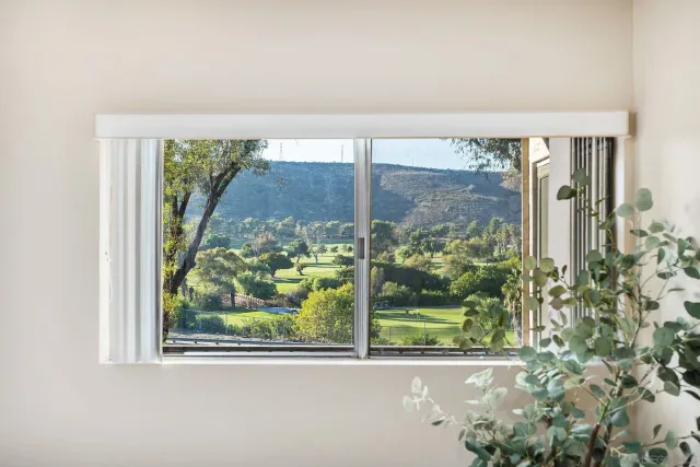 an outdoor view from window