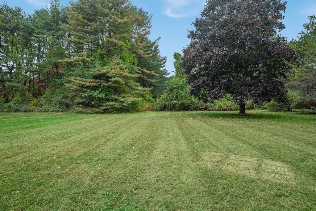 3 Bellwood Road Framingham, MA 01701 - Photo 28 of 40 Gallery Image 28