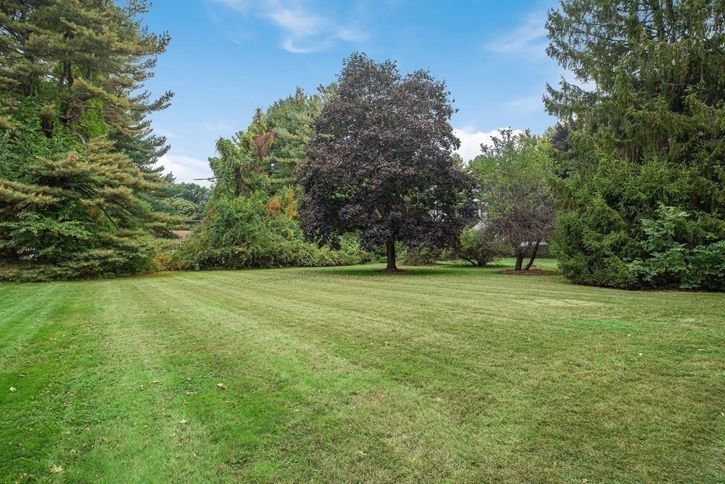 3 Bellwood Road Framingham, MA 01701 - Photo 29 of 40 Gallery Image 29