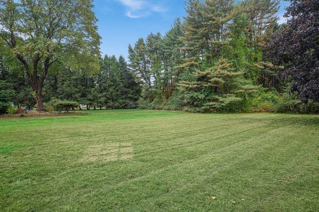 3 Bellwood Road Framingham, MA 01701 - Photo 30 of 40 Gallery Image 30