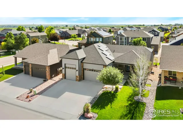 a backyard of a house with plants and large tree