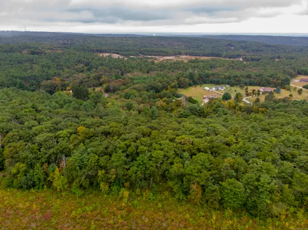 a view of a green field with lots of bushes