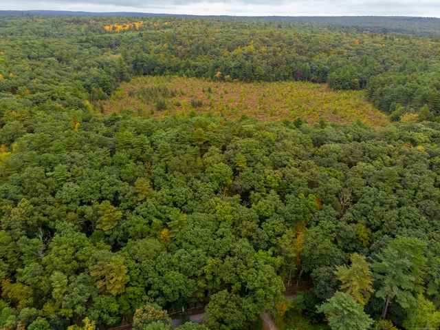 a view of a field with an ocean view