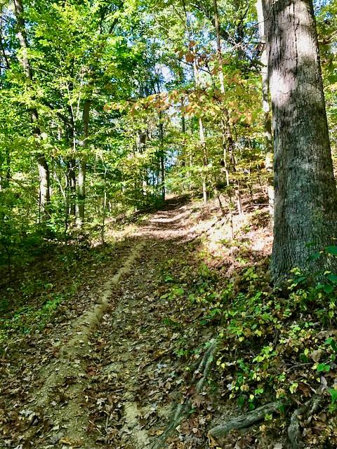 500 Jones Hollow Road Tarentum, PA 15084 - Photo 11 of 16 Gallery Image 11