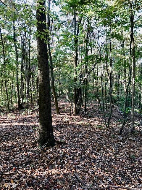 500 Jones Hollow Road Tarentum, PA 15084 - Photo 12 of 16 Gallery Image 12