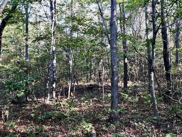 500 Jones Hollow Road Tarentum, PA 15084 - Photo 14 of 16 Gallery Image 14
