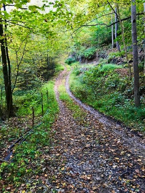 500 Jones Hollow Road Tarentum, PA 15084 - Photo 16 of 16 Gallery Image 16