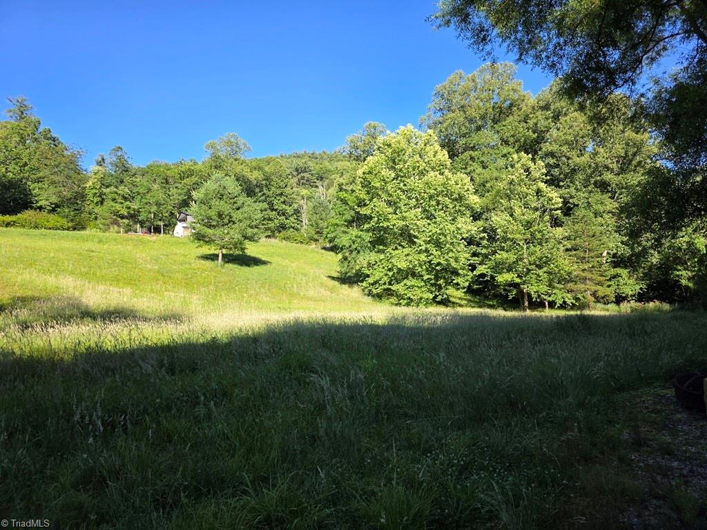 3205 Sheets Gap Road Millers Creek, NC 28651 - Photo 8 of 46