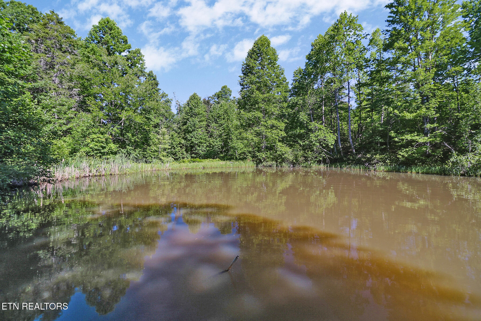 101 Duncan Hinds Road Jamestown, TN 38556 - Photo 34 of 59 Pond4