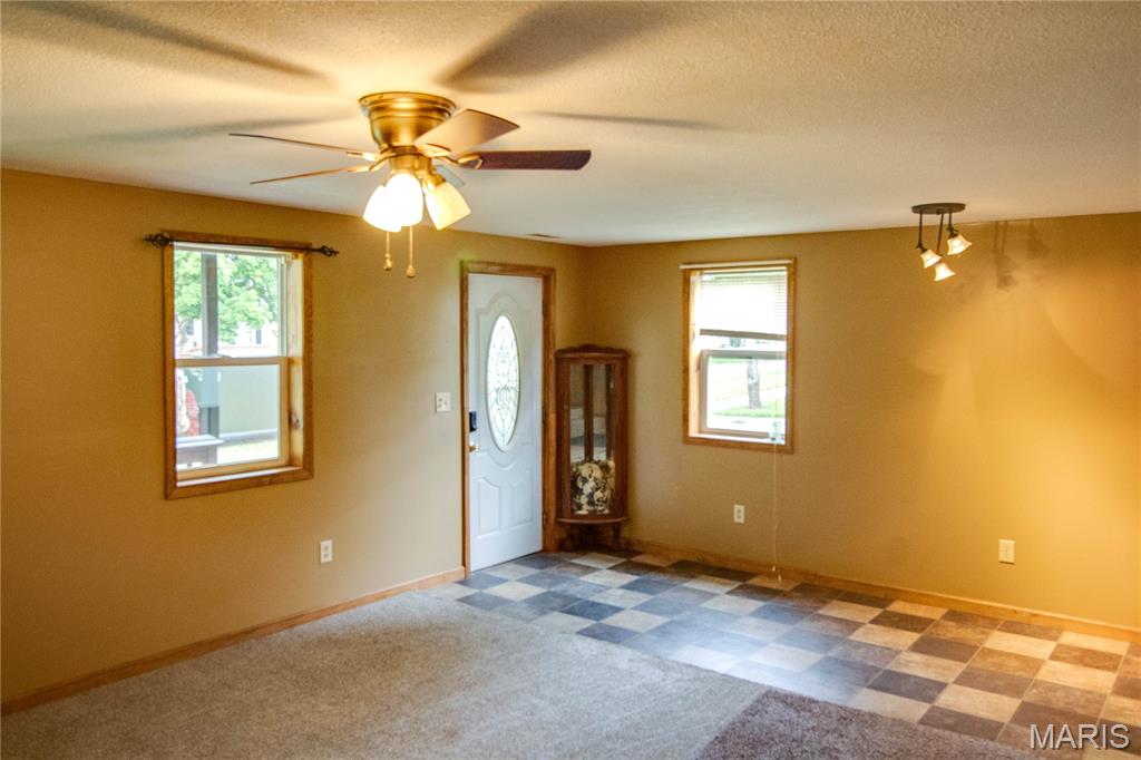 821 Locust Carrollton, IL 62016 - Photo 3 of 17