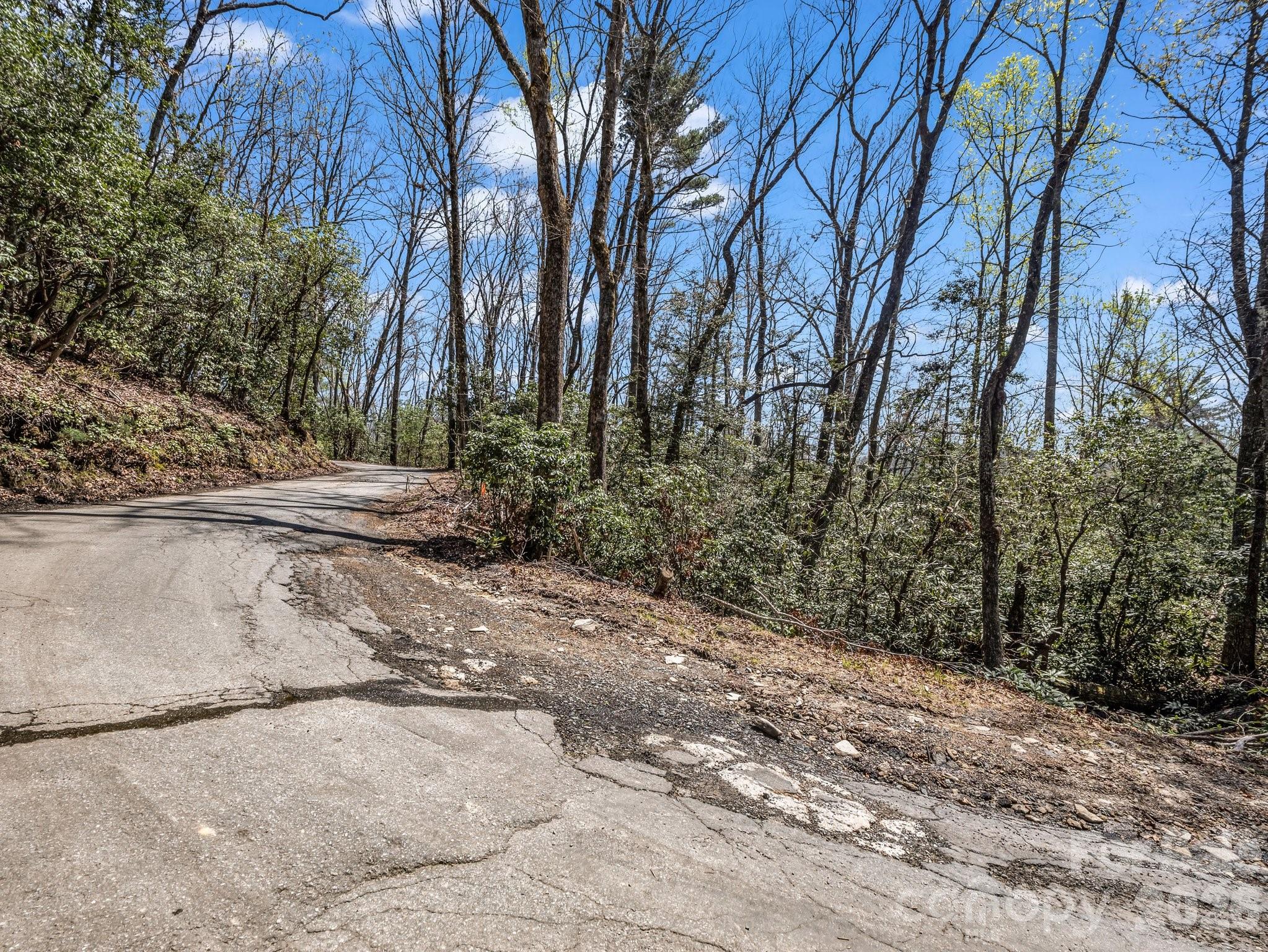 999 Bulling Creek Road Penrose, NC 28766 - Photo 10 of 37