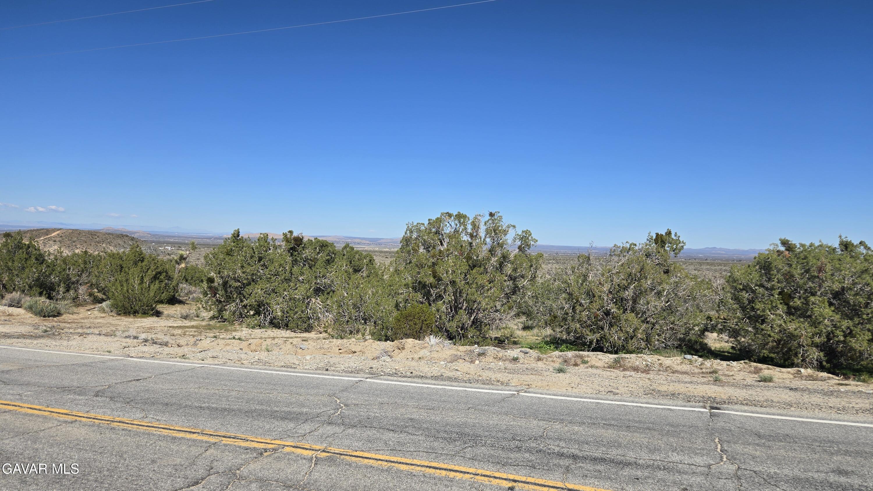Valyermo Road Pearblossom, CA 93553 - Photo 12 of 34 a view of a dry yard with trees