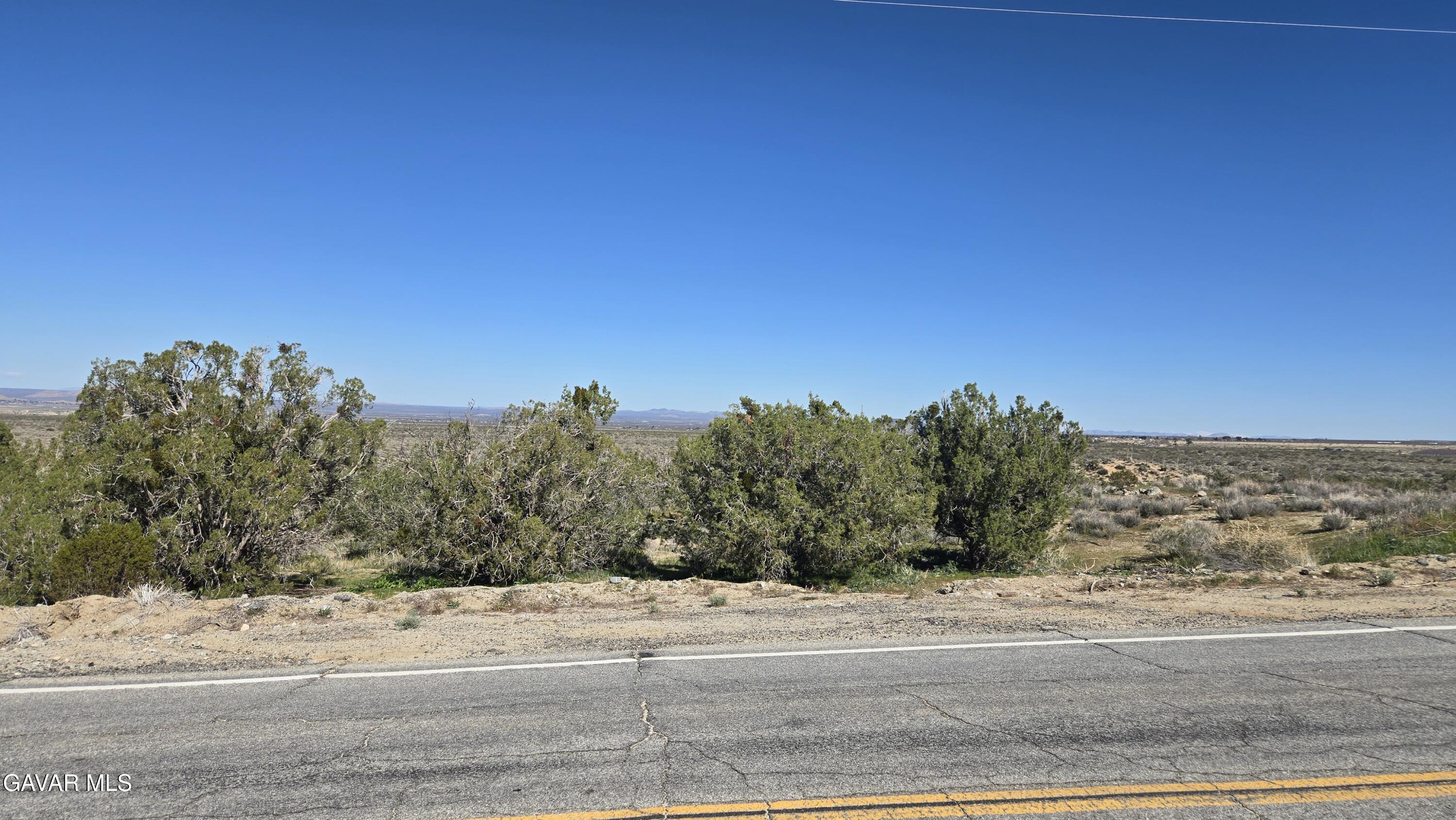 Valyermo Road Pearblossom, CA 93553 - Photo 13 of 34 a view of a dry yard with trees