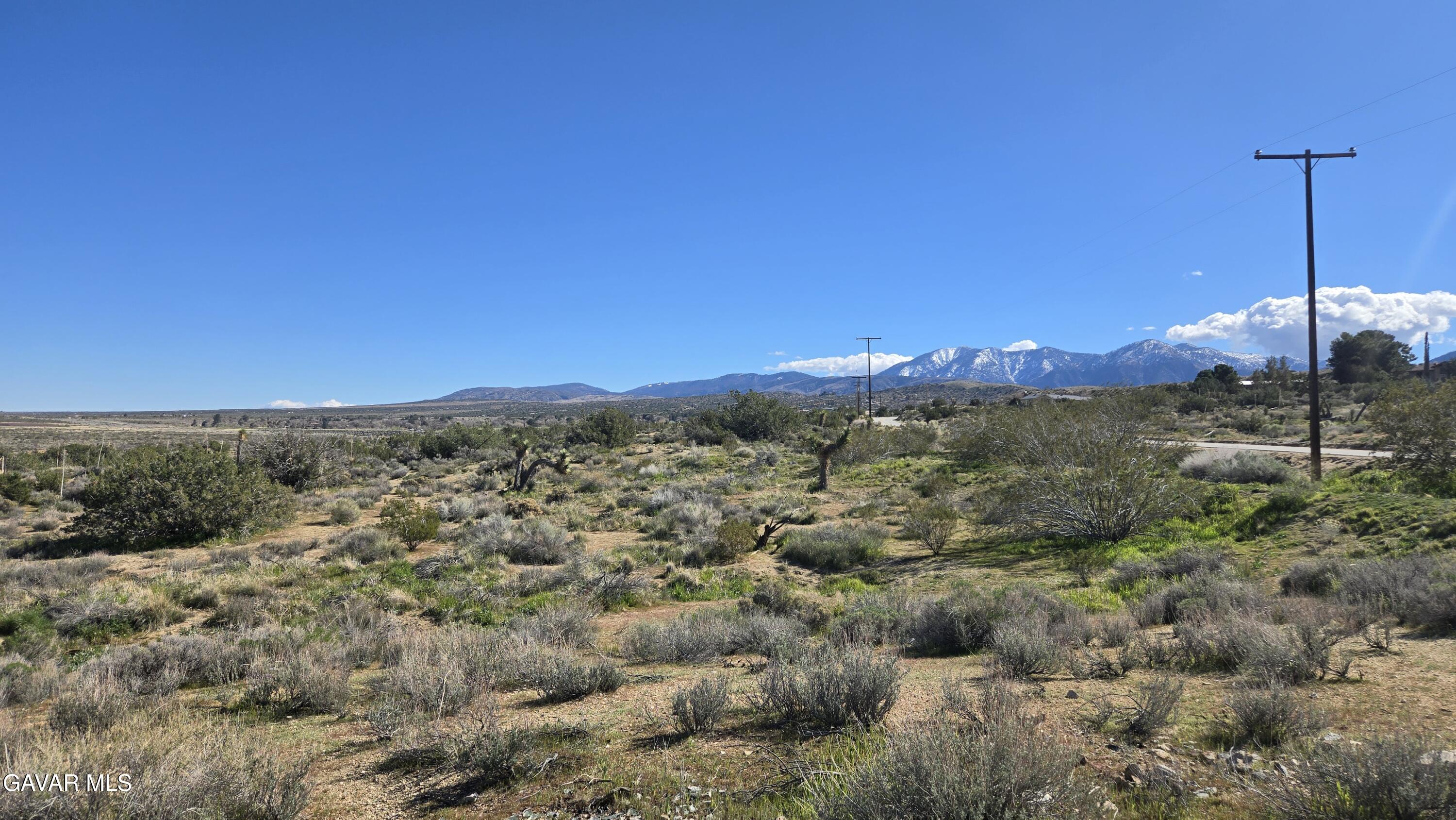 Valyermo Road Pearblossom, CA 93553 - Photo 23 of 34 a view of a city with lush green forest