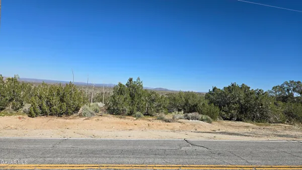 a view of a dry yard with trees