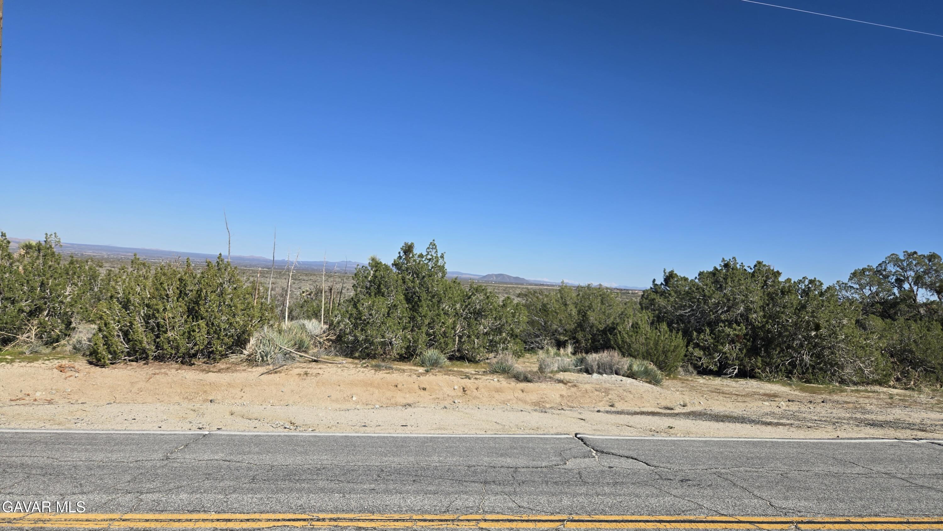Valyermo Road Pearblossom, CA 93553 - Photo 7 of 34 a view of a dry yard with trees