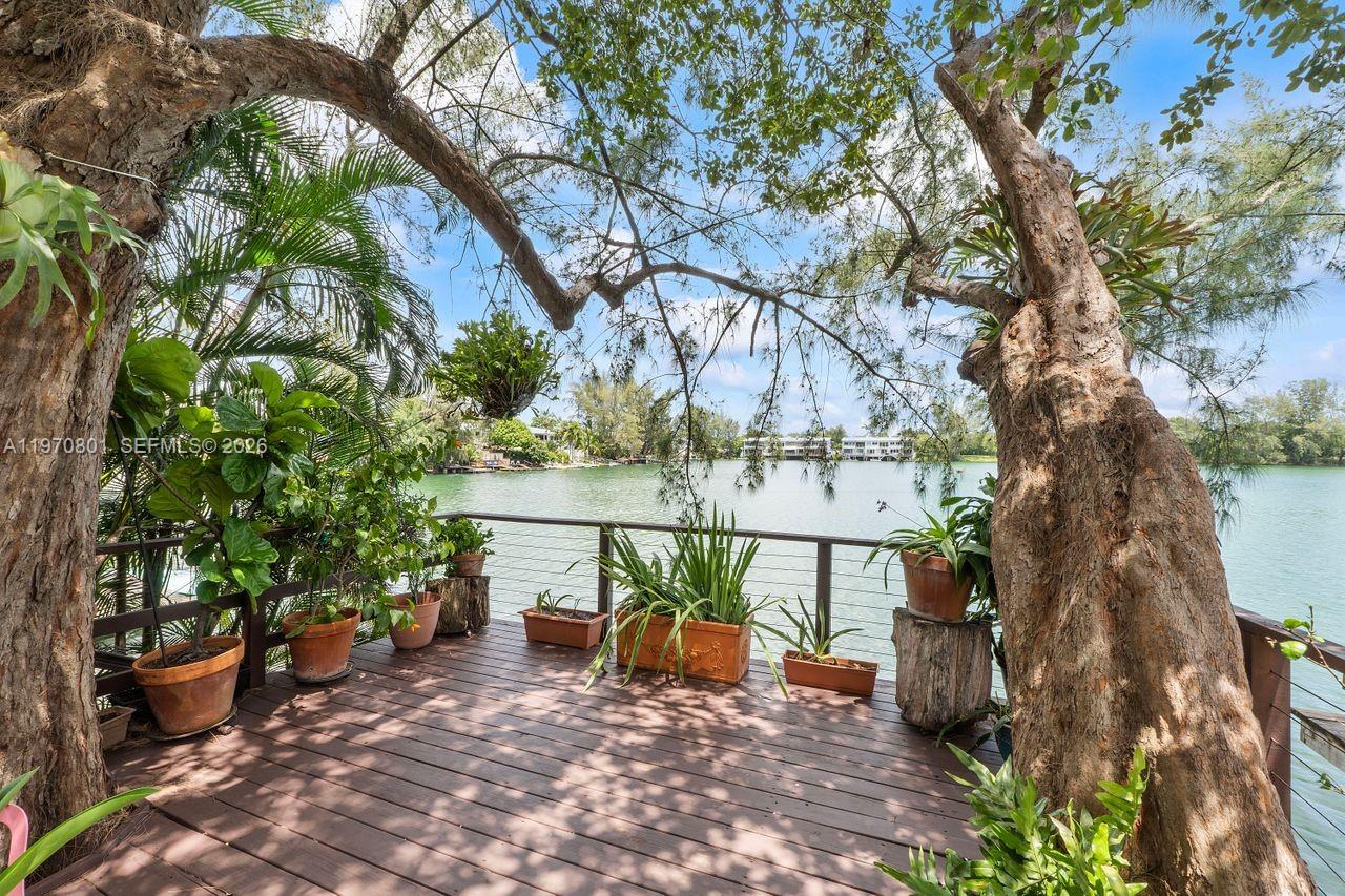 4905 Southwest 71st Place Miami, FL 33155 - Photo 1 of 37 a view of a terrace with chairs and a tree