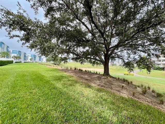 7740 Sandy Ridge Drive, Unit 247 Reunion, FL 34747 - Photo 5 of 39