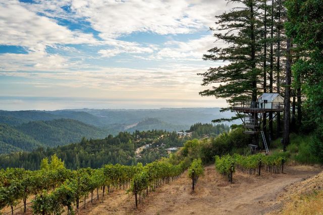 $11,700,000 | 25200 Loma Prieta Avenue, Los Gatos, CA 95033