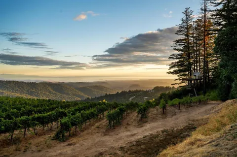 $11,700,000 | 25200 Loma Prieta Avenue, Los Gatos, CA 95033