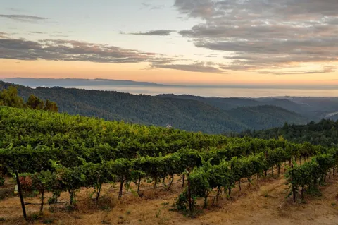 $11,700,000 | 25200 Loma Prieta Avenue, Los Gatos, CA 95033