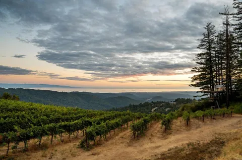 $11,700,000 | 25200 Loma Prieta Avenue, Los Gatos, CA 95033