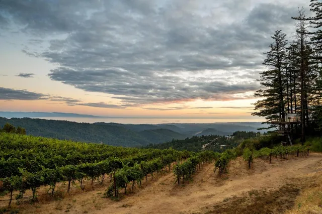 $11,700,000 | 25200 Loma Prieta Avenue, Los Gatos, CA 95033