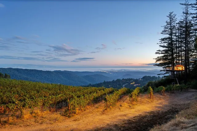 $11,700,000 | 25200 Loma Prieta Avenue, Los Gatos, CA 95033