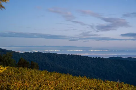 $11,700,000 | 25200 Loma Prieta Avenue, Los Gatos, CA 95033