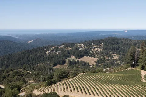 $11,700,000 | 25200 Loma Prieta Avenue, Los Gatos, CA 95033