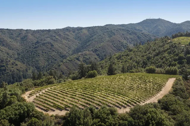 $11,700,000 | 25200 Loma Prieta Avenue, Los Gatos, CA 95033