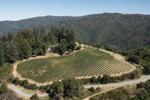 $11,700,000 | 25200 Loma Prieta Avenue, Los Gatos, CA 95033