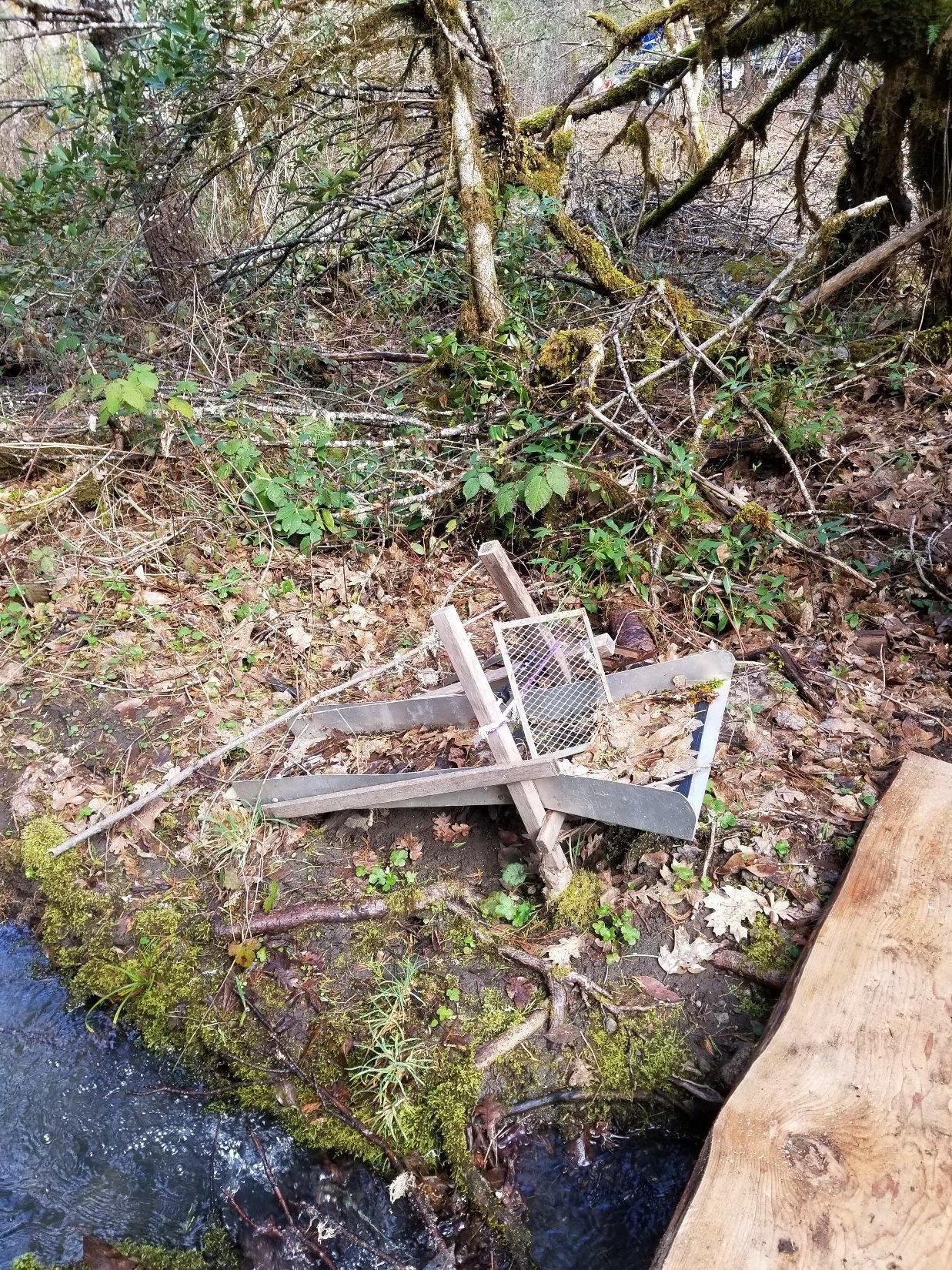 705 Greenview Road Cave Junction, OR 97523 - Photo 6 of 20 Additional Photo