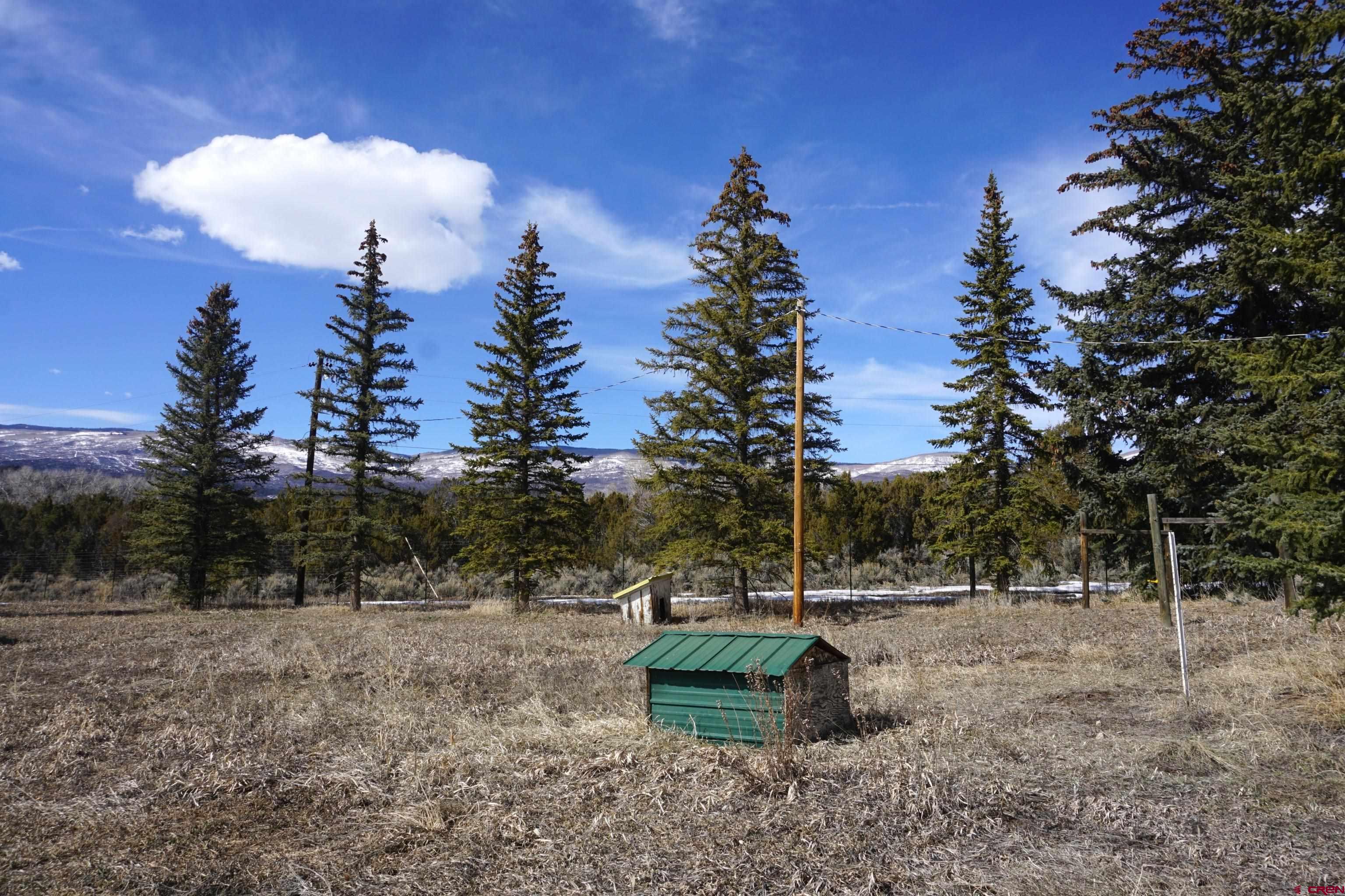 19235 2325th Road Cedaredge, CO 81413 - Photo 25 of 34 a view of a fire pit with large trees