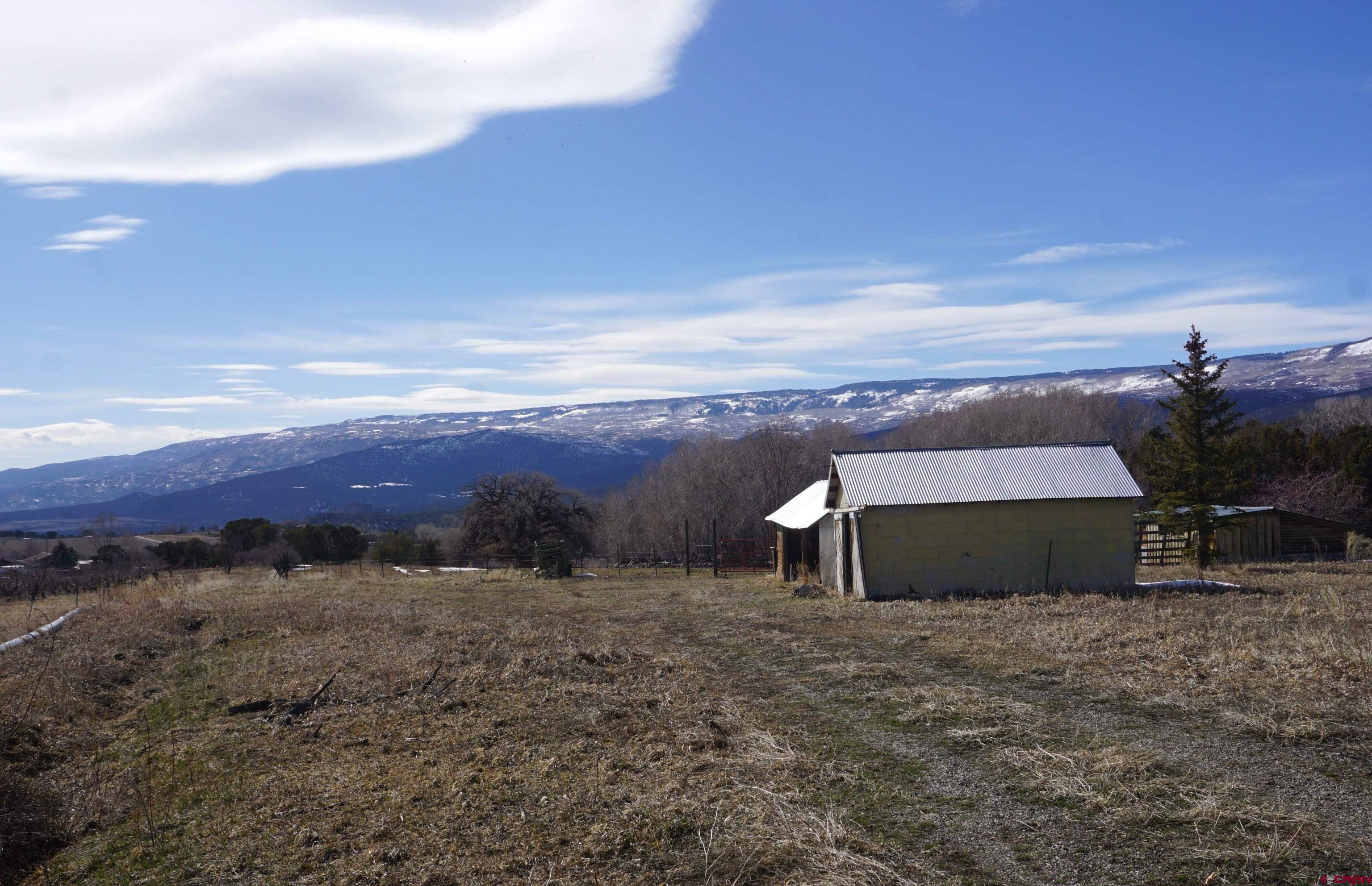 19235 2325th Road Cedaredge, CO 81413 - Photo 29 of 34 a view of a backyard with a mountain