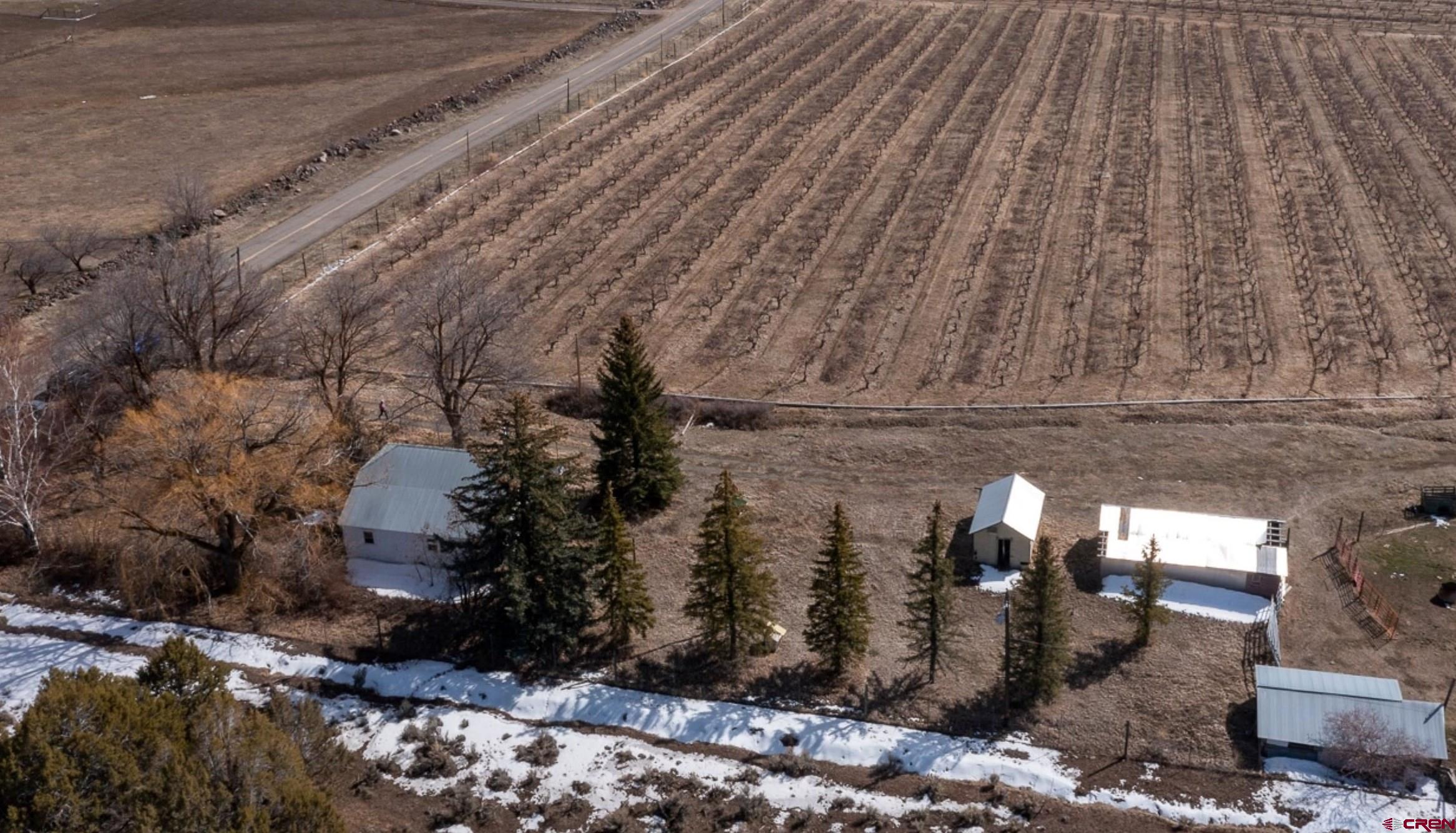 19235 2325th Road Cedaredge, CO 81413 - Photo 3 of 34