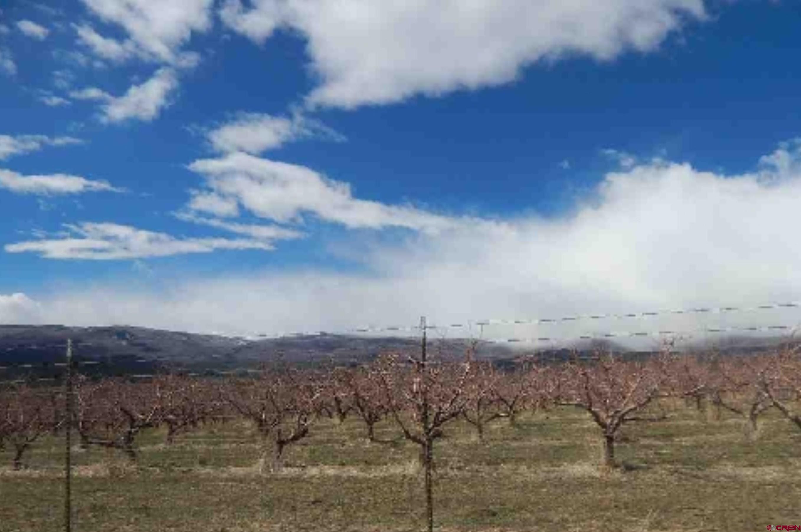 19235 2325th Road Cedaredge, CO 81413 - Photo 33 of 34 a view of sunset