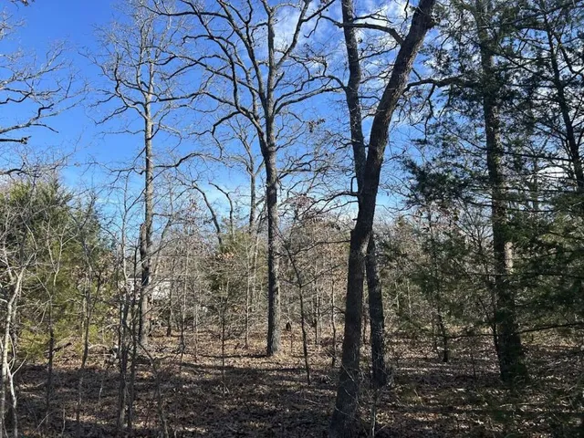 $44,619 | 0 Lots 782-783 786-787 Faye Hawk Cove, Quinlan, TX 75474