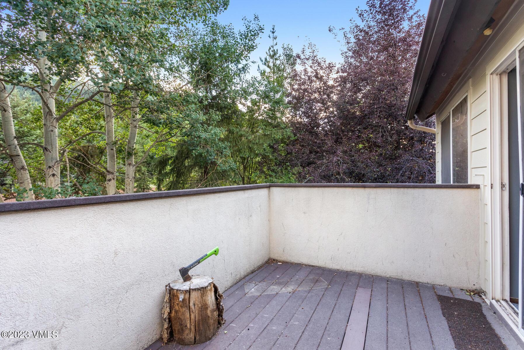 160 Riverside Court, Unit 1 Avon, CO 81620 - Photo 23 of 24 160 Riverside Ct-020-018-Deck-MLS_Size